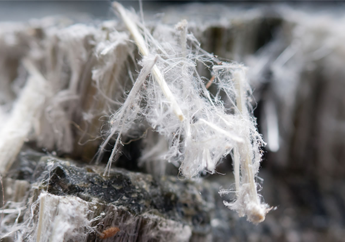 Boatloads of illegal asbestos arriving on Dutton’s watch